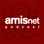 Logo_AMISnet